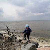 Зоряна