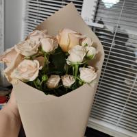 Камила