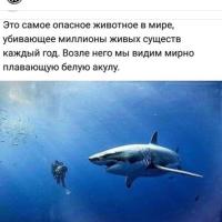 Дженнет