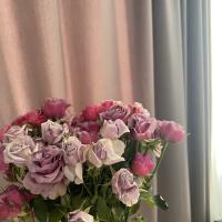 Hello_b