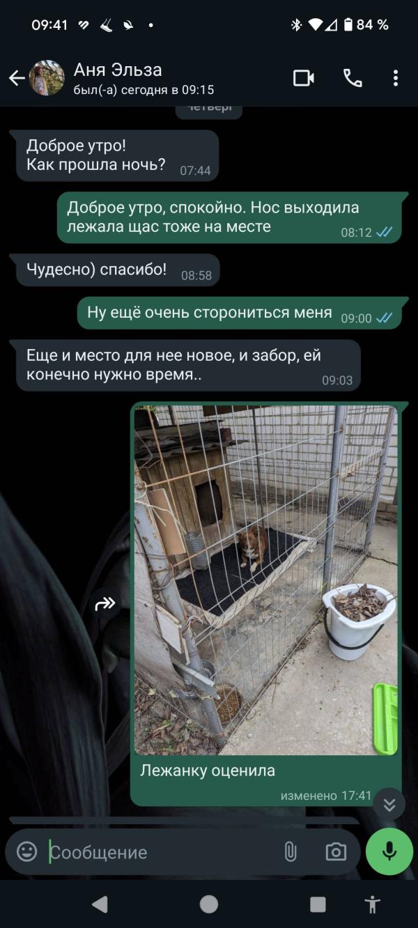 post image 5