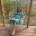 Saina