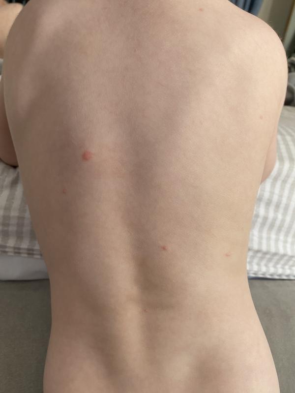 post image 2