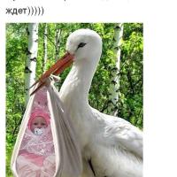 Шылмагамбетова Айнура Еркатовна