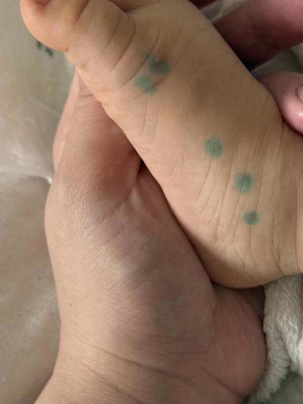 post image 5