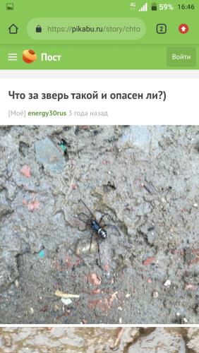post image