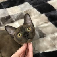 Катерина 