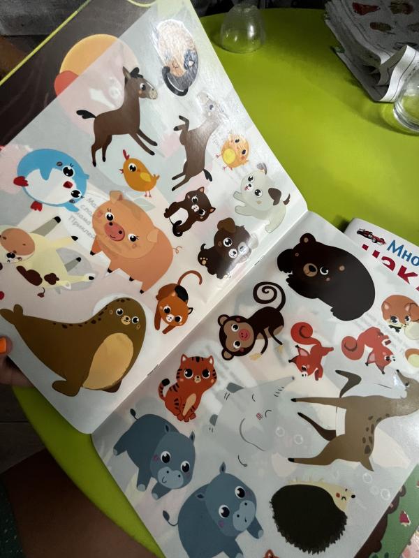 post image 5