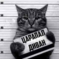 я