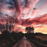 хасия