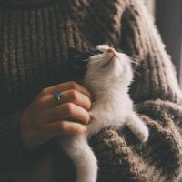 Мила