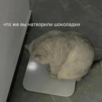 Кондитер  Махачкала