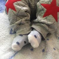 сакина