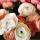 salma_3111