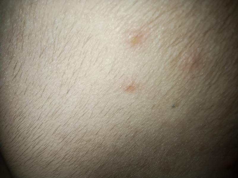post image 4