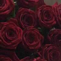 Miraa_95