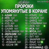 temur232323t