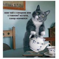 Ксения 
