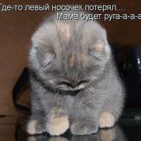 elena_nikolaevna