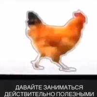 Слава фролова