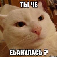 Kasima 