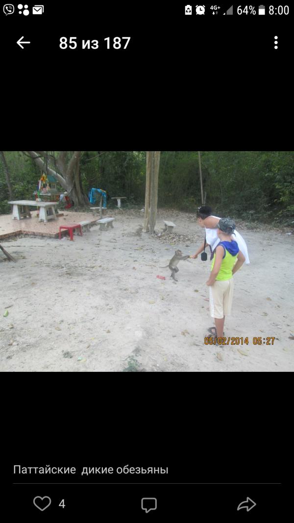 post image 4
