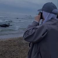 Амира