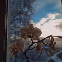 Ксения 