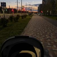 Яна