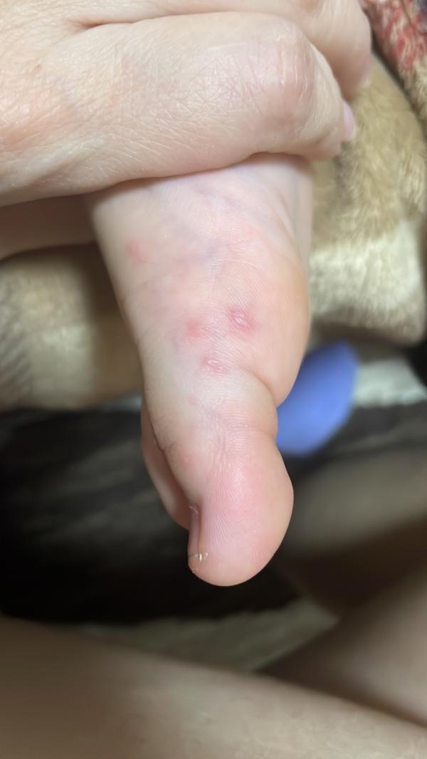 post image 4