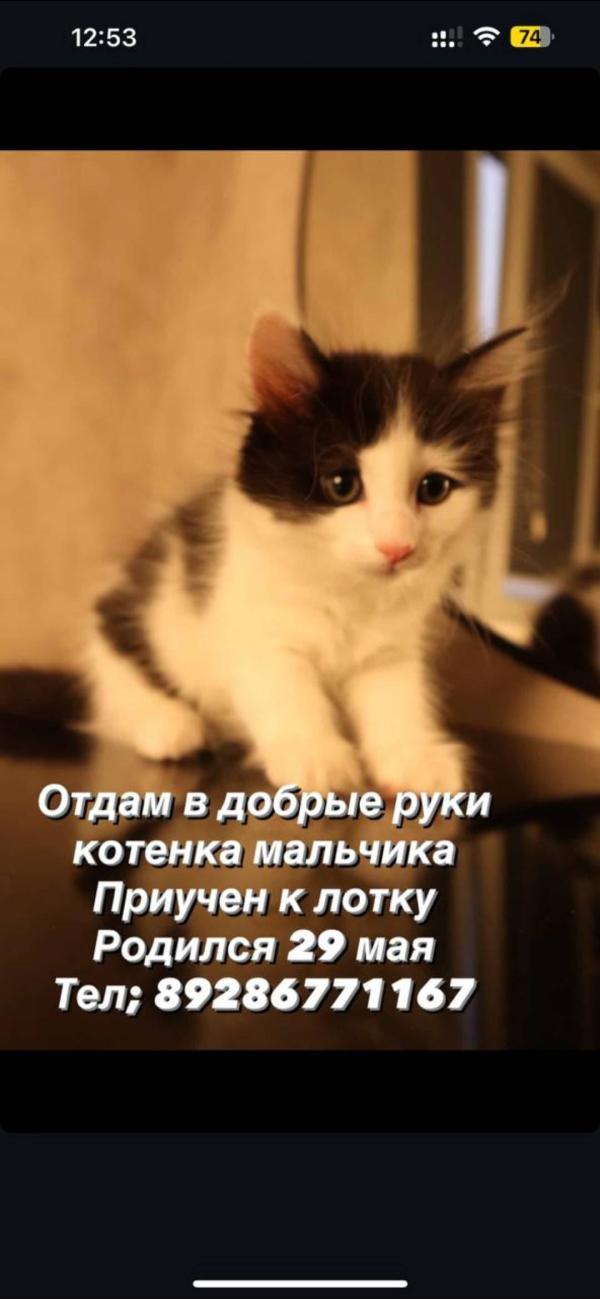 post image 5