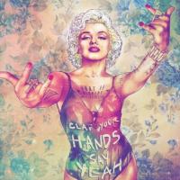 Лиса " Алиса"