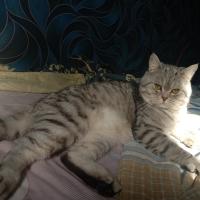 Евгения Иванова
