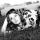 anna_1502