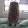 alenka_wait_my_baby