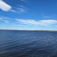 Веселая
