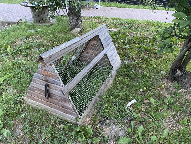 post image 4