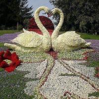 Ксения