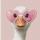 its.katerina