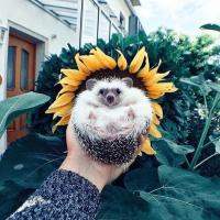 Катерина
