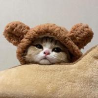🧸