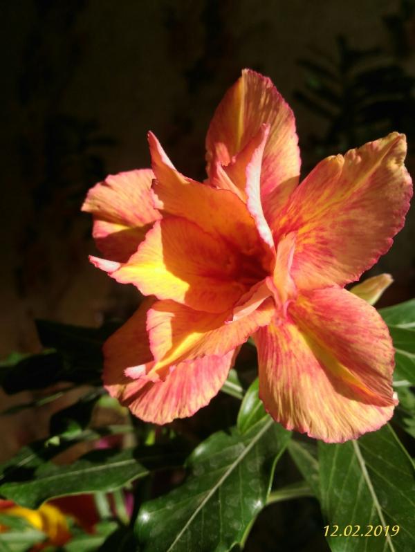 post image 5