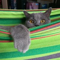 Кристина 