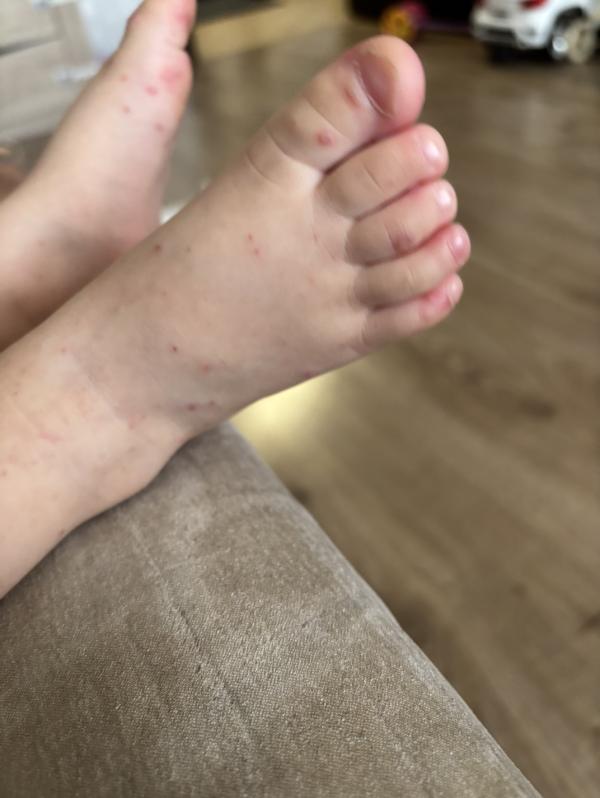 post image 4