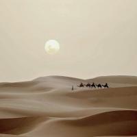 Sahara