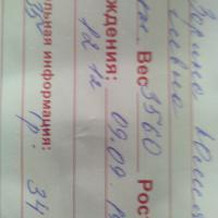 Юлия Зорина