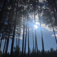 Полина