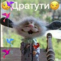 Мадам