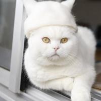 Наталья