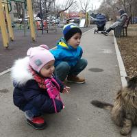 Ирада Ибрагимова 